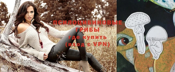 гидропоника Белоозёрский