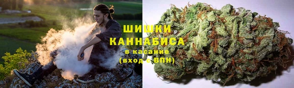 дмт Белокуриха