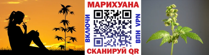 сколько стоит  Пионерский  Бошки марихуана семена 